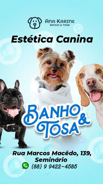 Serviço De Banho E Tosa