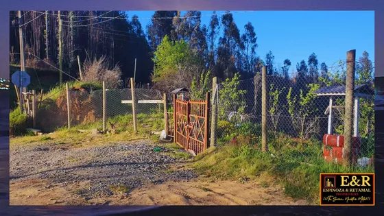 5,11 Hectareas En Venta , Tome (67708)