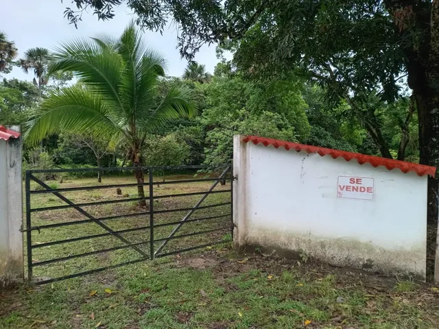  Ganga!! Inversión Segura En Tierra Productiva! Finca En Paratebueno - ¡precio De Oportunidad!
