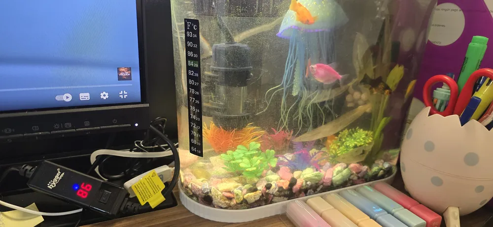 Foto del producto compartida por el comprador 3 de 8