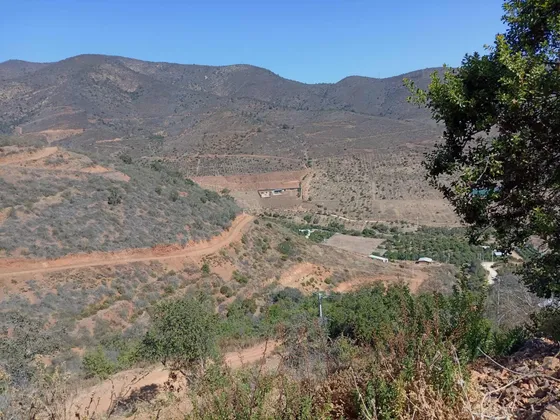 El Cajón De San Pedro , Quillota