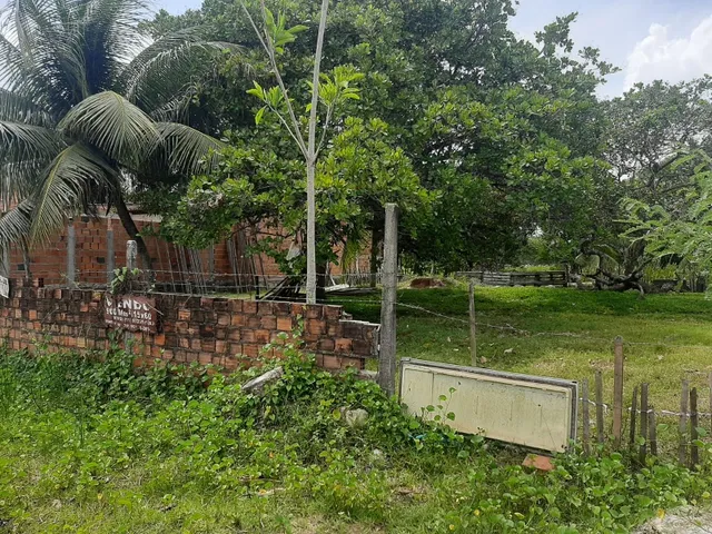 Terreno 