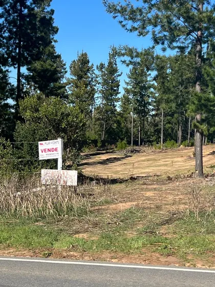 Terreno En Pichilemu Con Hermoso Entorno