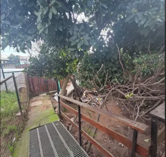 Propiedad Con 2 Casa En Sector Forestal Alto, A Un Costado D