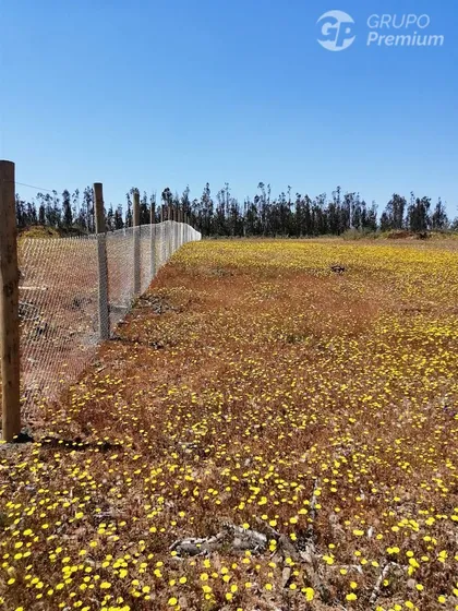 Sitio En Venta En Cauquenes