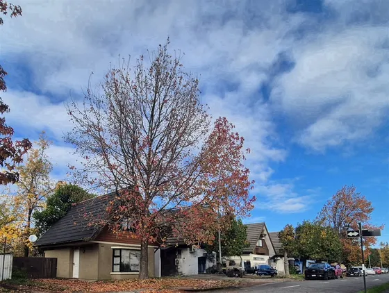 Casa En Venta De 3 Dorm. En Los Angeles