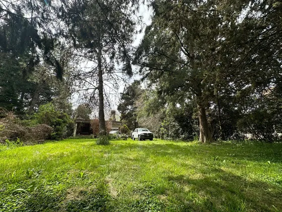 Casa  4 Amb. /  Quinta  1200 M2 De Terreno -  Berazategui - Venta