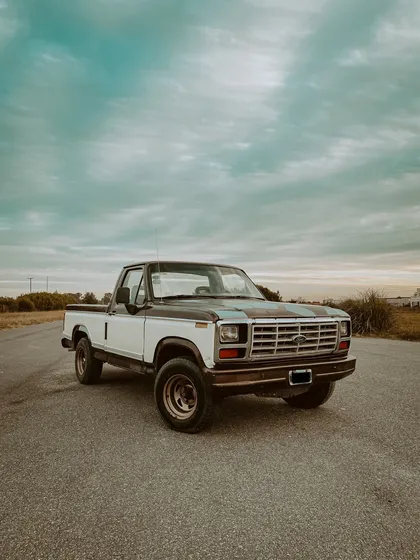 Ford F-100 3.6 Std