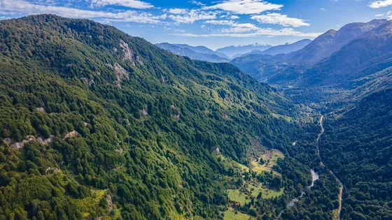 Agrícola En Venta En Aisén
