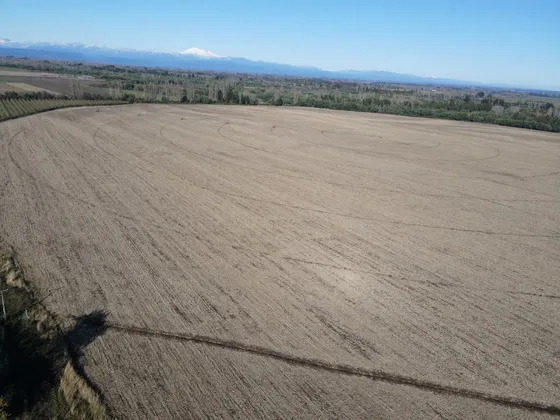Venta De Campo En Chillán Id 47.697-cam
