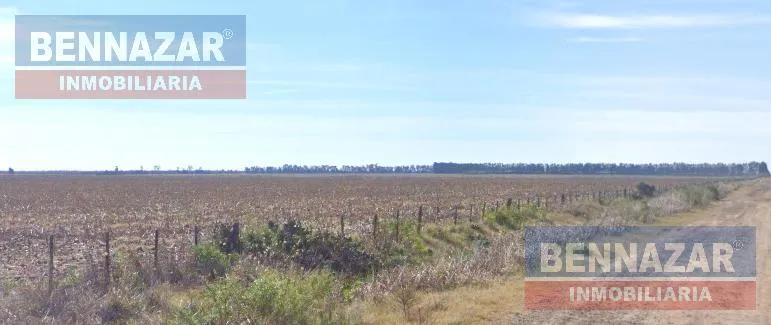 Rural Property in Ramallo, El Paraíso – 28 Hectares
