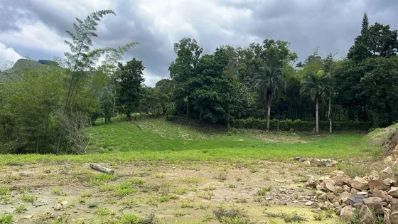Lote En Venta En Bosque Altamira. Cod V14724