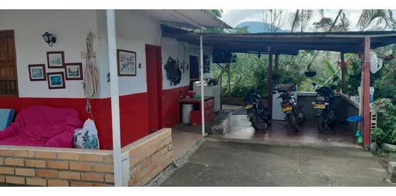Venta Finca Cafetera En Pueblorrico