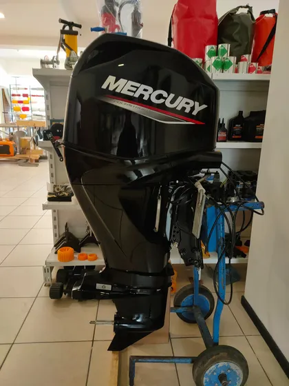 Despiece Motor Mercury 60hp 4 Tiempos Usado