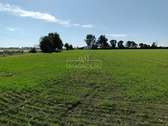 Sitio Agrícola En Venta En Los Angeles