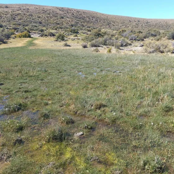 Campo En Venta - 7.345 Hectáreas - Chubut