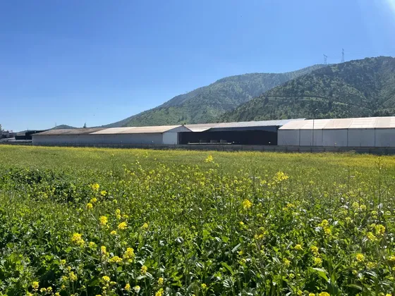 Parcela De 5.000m2 En Pequeña Parcelación