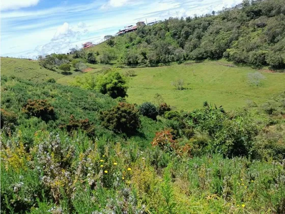 Finca En Vender En San Vicente