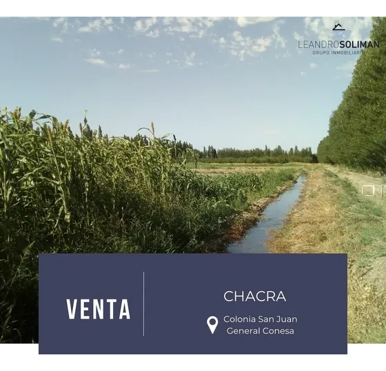 Chacra - Oportunidad Para Inversores Y Productores Agropecuarios