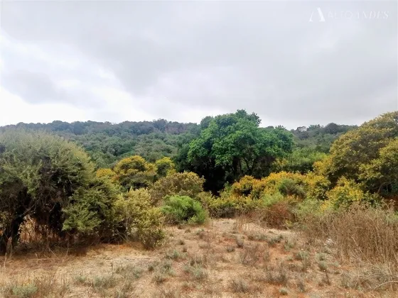 Sitio En Venta En Loteo Privado Mantagua Quintero