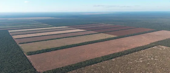 Campo En  Santiago Del Estero 