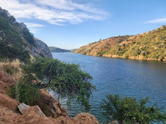Terrenos Con Acceso Lago Rapel - 4 Lotes Venta Directa Dueño