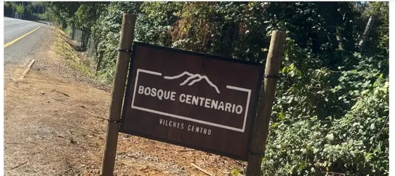 Parcela En Venta En San Clemente