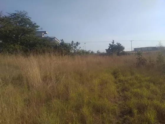 Fany Villasmil Vende Terreno En Cojedes Sector Cascabel 