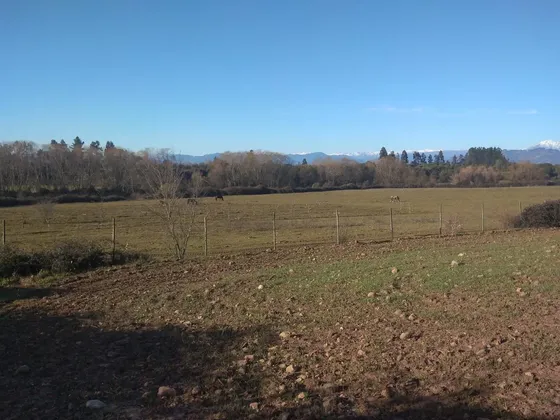 Camo De 36,8 Ha En Zona Agrícola De San Clemente