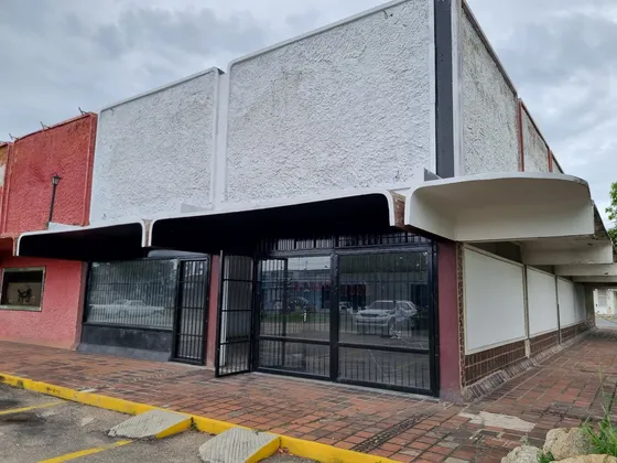 Grey Zuloaga Y Javier Philip Inzitu Realtors  Alquilan Local Comercial En C.c. Ara Avenida Michelena Valencia Carabobo Venezuela