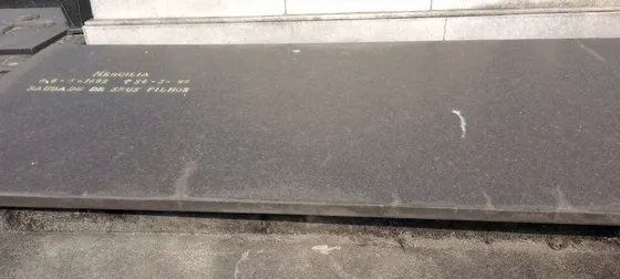 Jazigo Perpétuo Cemitério Do Caju Rio De Janeiro