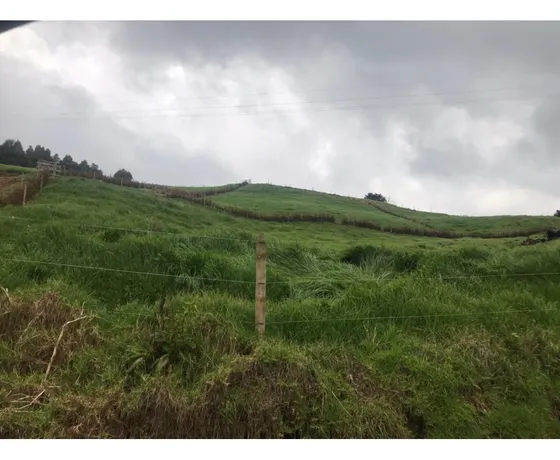 Lote En Venta En San Pedro De Los Milagros Vereda La Pulgarina 