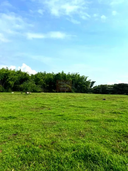 Pance, 13.000 M2, Espectacular Lote En Venta