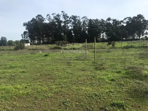 Vendo Terreno Balneario Santo Domingo!