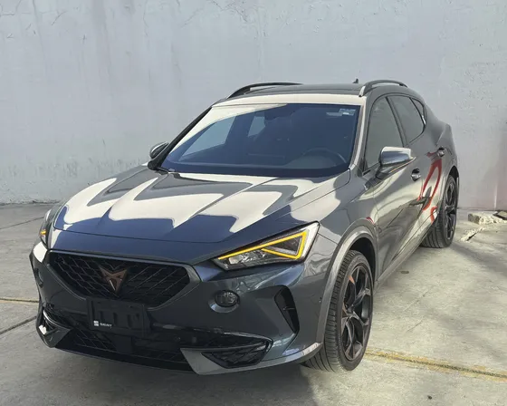 Cupra Formentor 2.0 Vz 310hp 4wd Dsg7
