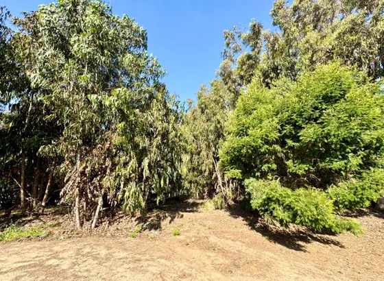 Sitio En Marbella En Consolidado Sector