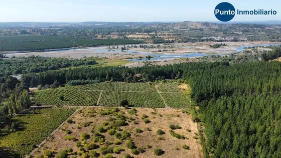 Fundo Colindante Río Ñuble
