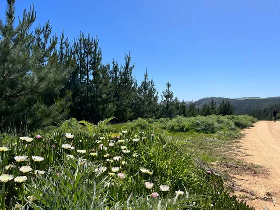 Terreno Está A La Venta En Boyeruca