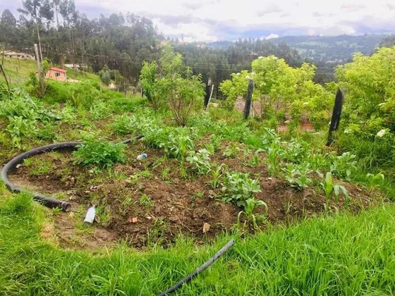 Hermosa Finca Con Excelente Ubicación