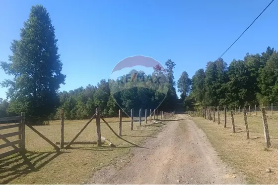 Parcela En Huincacara - Camino Licanray