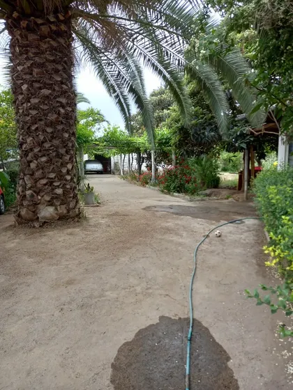 Terreno A 5 Cuadras Metrotren, 7200m2. Luz, Agua, A Calle
