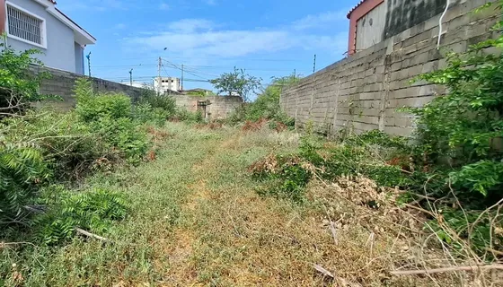 Terreno En Venta En Anzoátegui - Nueva Barcelona