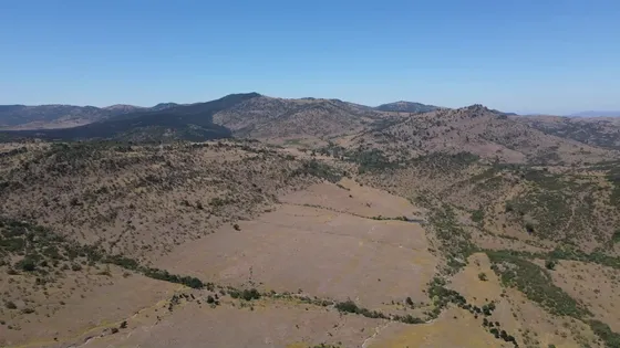 Venta Campo En Hualañe Subdividido