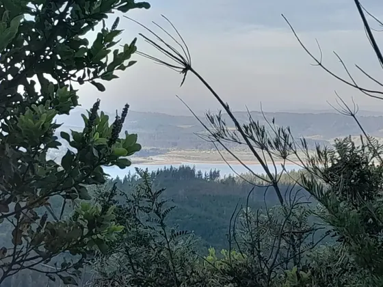 Venta De Terreno En Vichuquén