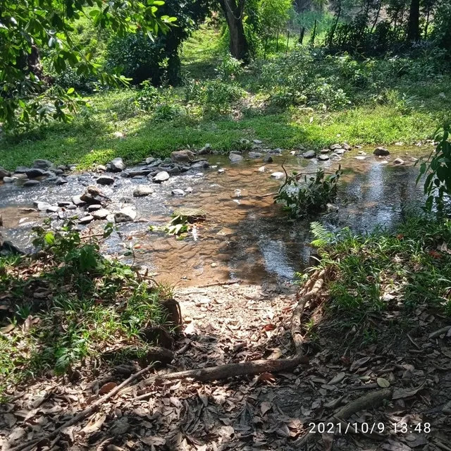 Te Vendo Excelente Finca En La Auto Pista Duarte