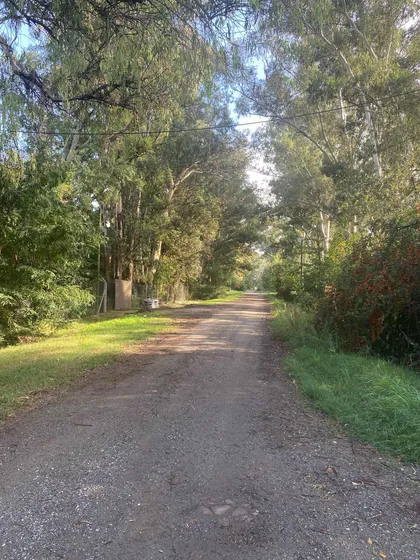 Dueño Vende Hermoso Terreno En Abasto, El Pato, Villa Elisa