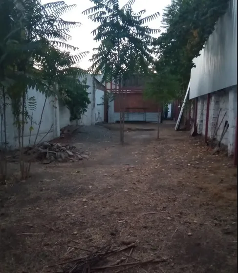 Sitio 250 M2 Con Bodega