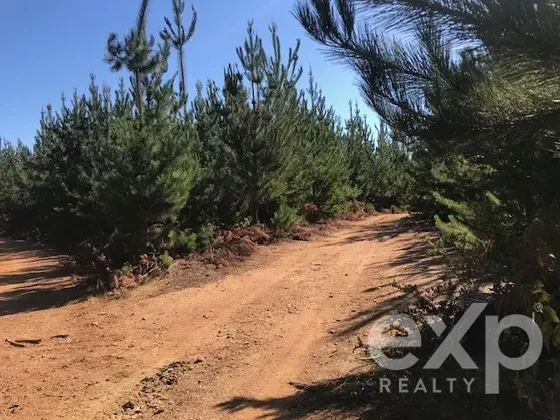 Sitio En Venta En Constitución