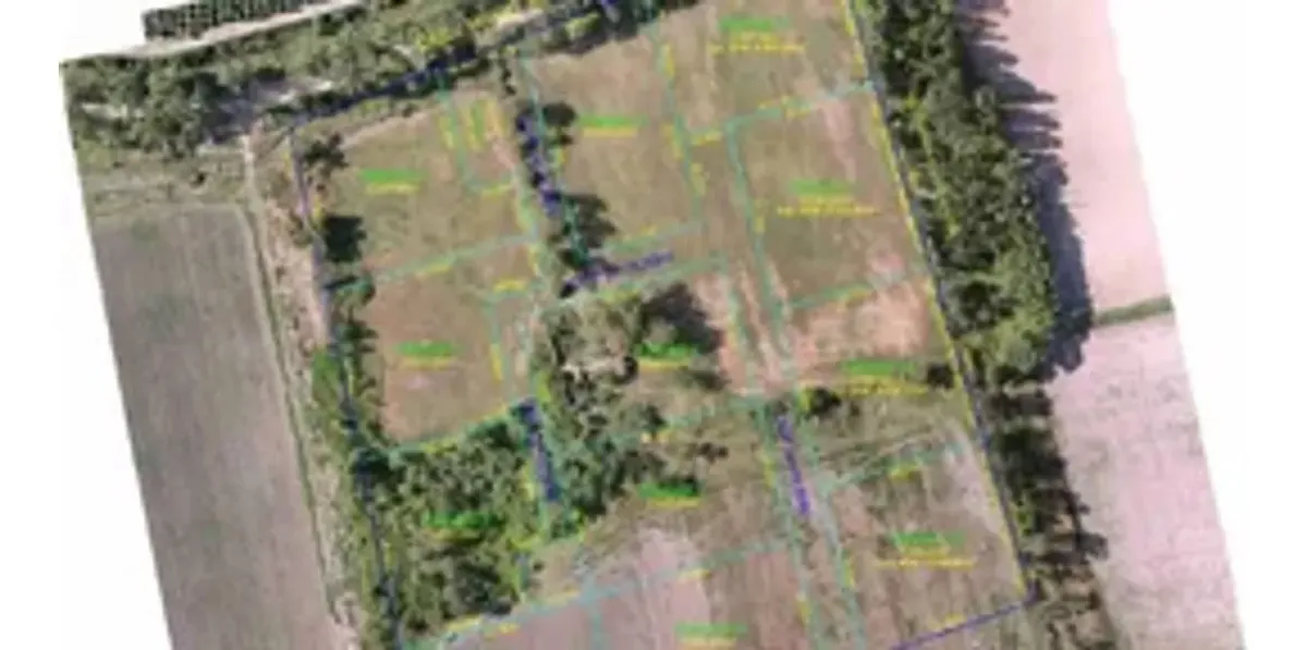 Lot for Sale in Sauce Viejo Country Rural, Tunuyán