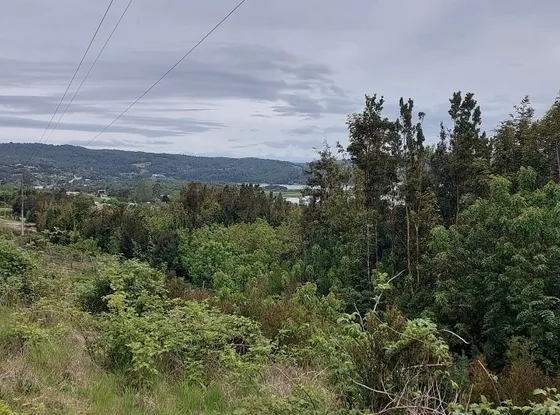 Terreno 1.1 H En Molulco, Chiloé 